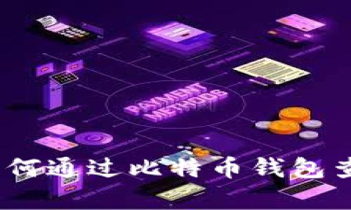 全面解析：如何通过比特币钱包查询交易记录