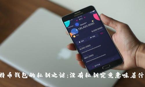 比特币钱包的私钥之谜：没有私钥究竟意味着什么？