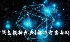 比特币核心钱包数据太大