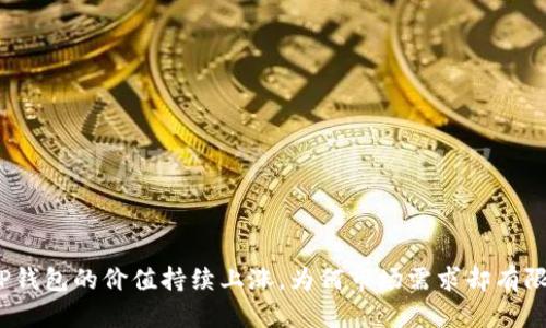TP钱包的价值持续上涨，为何市场需求却有限？
